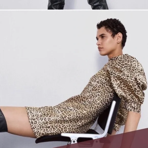 ZARA Leopard Print Dress - Picture 1 of 4